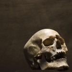 Tengkorak-1694430488