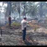 Tim BPBD Mukomuko padamkan kebakaran lahan gambut di belakang bandara-1695728437