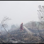Tim Manggala Agni Jambi bantu pemadaman karhutla di Sumatera Selatan-1695973576