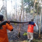 Tim Satgas padamkan karhutla di tiga desa Kabupaten OKU Sumsel-1695729332
