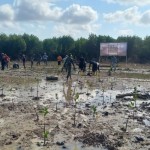 TNI  tanam ratusan bibit pohon Mangrove di Lombok Tengah-1695793035