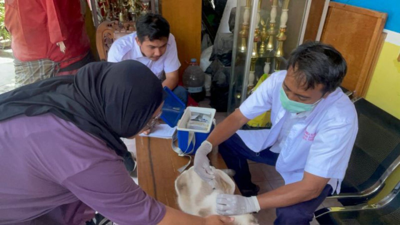 Petugas memberikan vaksin rabies gratis kepada hewan peliharaan warga di Kramat Jati, Jakarta Timur, Rabu (6/9/2023) ANTARA/Lifia Mawaddah Putri.