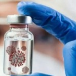 Virus Nipah, ancaman baru setelah pandemi COVID-19 (ANTARA/Dokumentasi Pribadi)-1695970688