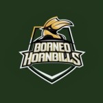 Logo baru Borneo Hornbills-1698422563
