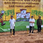Pusri-1697089661