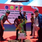 Wapres resmikan Kawasan Pangan Nusantara topang sektor pangan IKN-1696411253