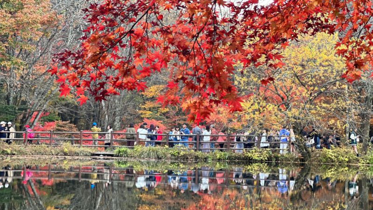 Wisatawan melintasi jembatan di Danau Kumobaike, Karuizawa, Prefektur Nagano. (ANTARA/ Juwita Trisna Rahayu)