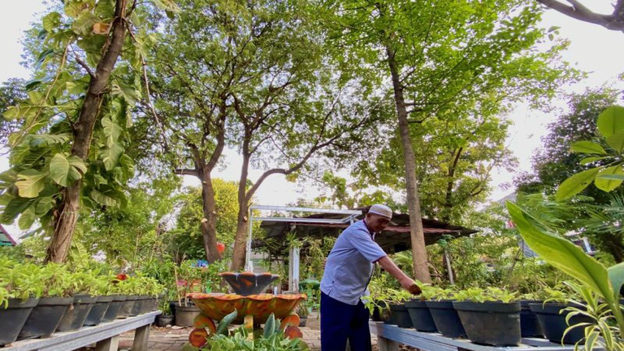 Ketua Forum Masyarakat Peduli Lingkungan Joko Sarjono mengecek tanaman yang terdapat di Kampung Eduwisata Bhinneka, Kelurahan Kebon Kosong, Kecamatan Kemayoran, Jakarta Pusat. ANTARA/Cahya Sari.