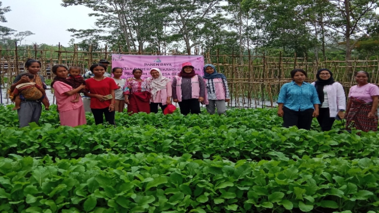 Kelompok Tani Banera Ndajang berpose bersama Srikandi PLN UIP Nusra usai melakukan panen sayur jenis Vanbox dan Sayur Putih. Foto ( Dok. Nusantara TV)