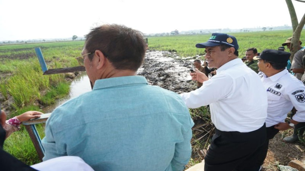 Menteri Pertanian (Mentan) Andi Amran Sulaiman (tengah) saat meninjau lahan rawa tadah hujan di Desa Padang Kecamatan Bati-Bati, Kabupaten Tanah Laut, Kalsel, Kamis (16/11/2023). ANTARA/HO-Kementerian Pertanian