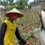 Petani-1700472415