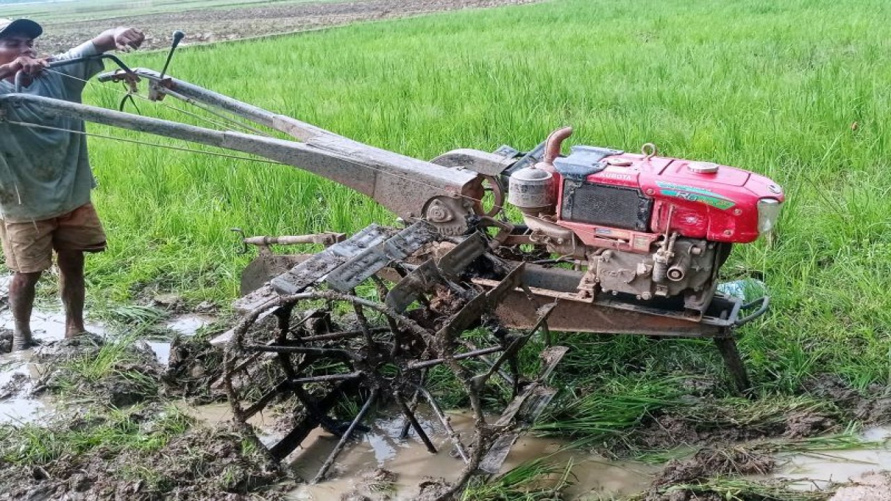 Petani di sejumlah daerah di Kabupaten Lebak mulai melakukan pengelolaan lahan persawahan untuk percepat gerakan tanam padi menyusul curah hujan tinggi.ANTARA/Mansyur