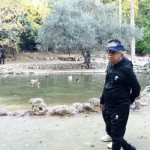 Wapres Ma'ruf Amin sempatkan jalan pagi di Taman Nasional Athena-1700729913