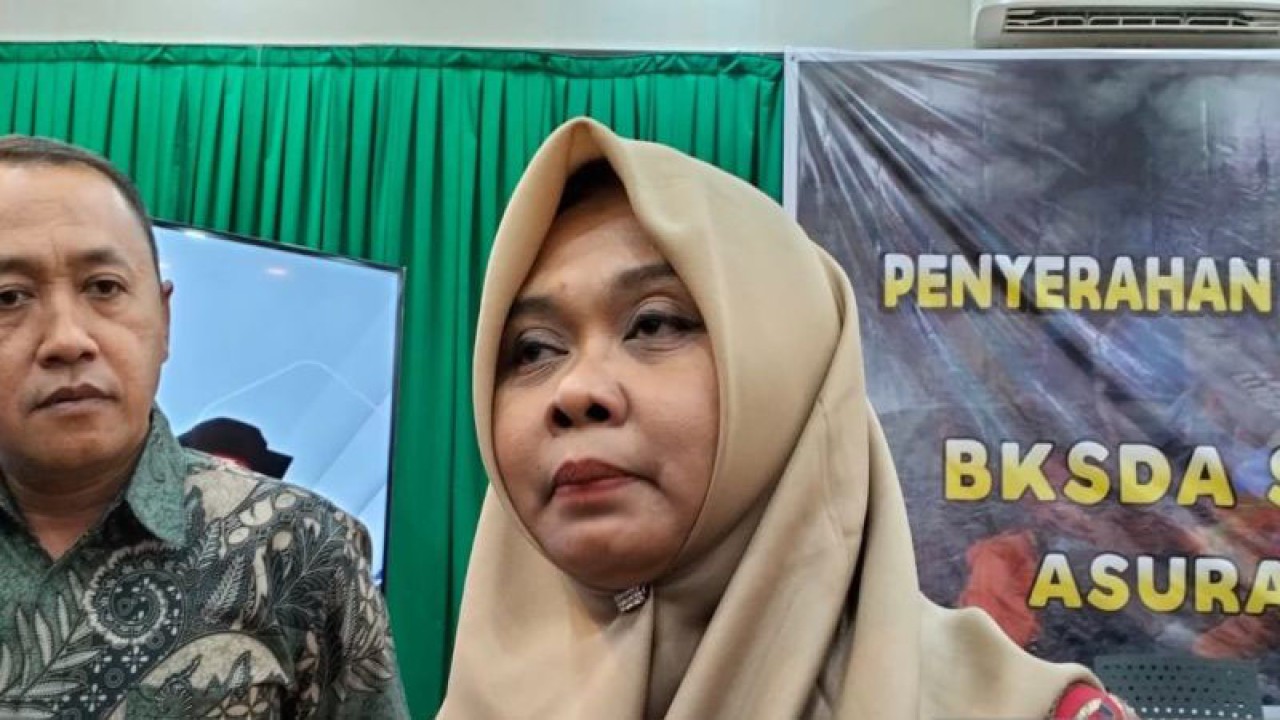 Pelaksana harian (Plh) BKSDA Provinsi Sumbar Dian Indriati. (ANTARA/Muhammad Zulfikar).