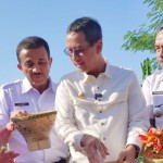 DKI panen cabai dan luncurkan armada Gerakan Pangan Murah-1703054509