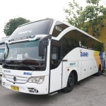 Ilustrasi - Armada bus Damri. ANTARA/HO-Damri-1702460777