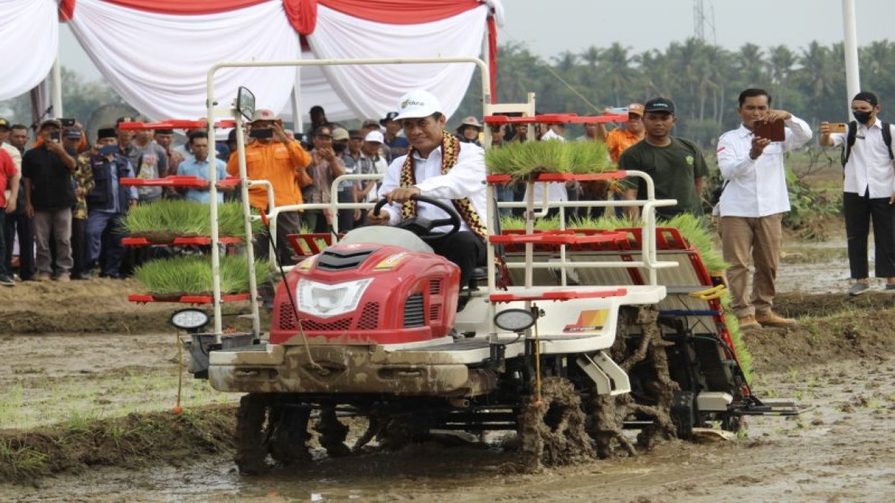 Menteri Pertanian Andi Amran Sulaiman saat melakukan penanaman padi di Trimurjo, Kabupaten Lampung Tengah. Provinsi Lampung, Rabu (20/12/2023). ANTARA/Ruth Intan Sozometa Kanafi.