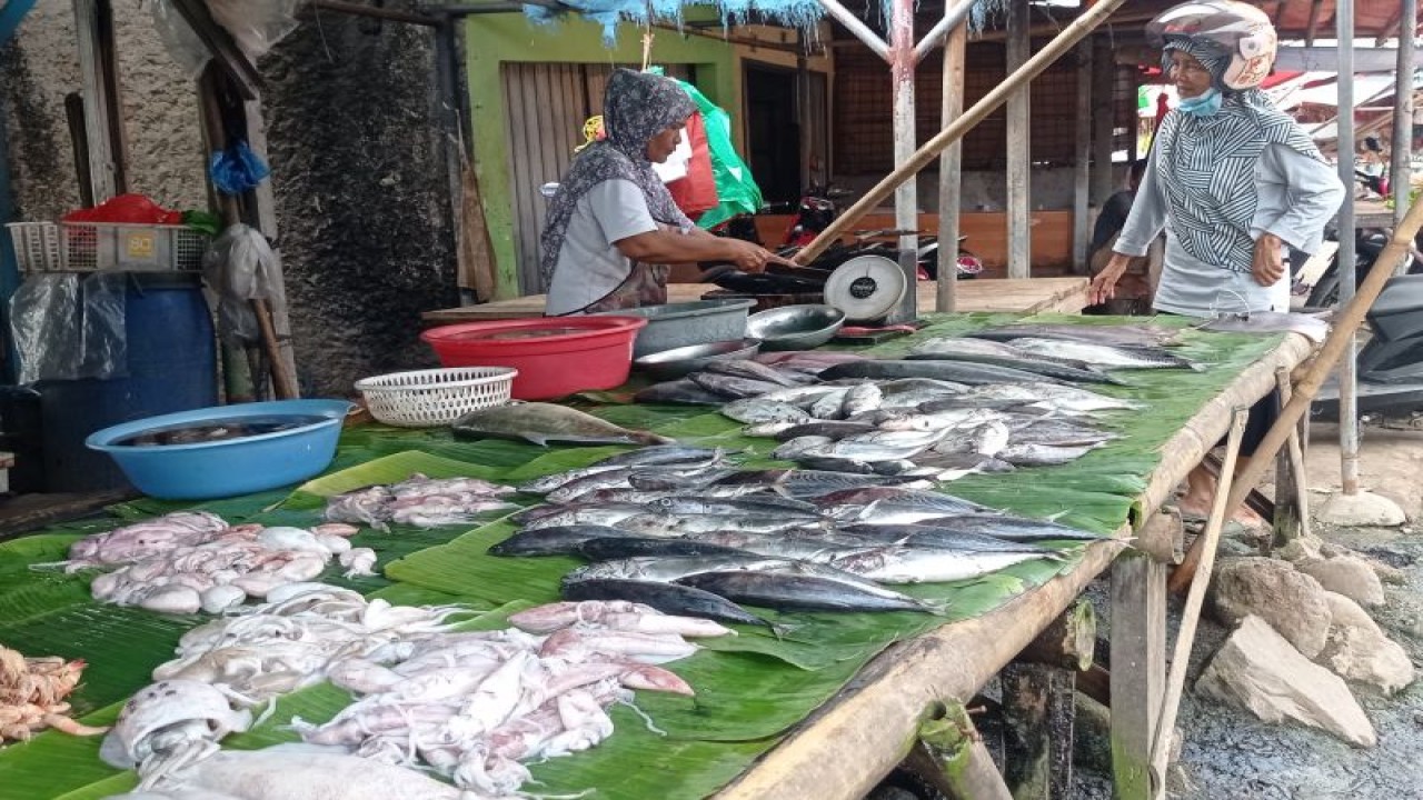Pedagang ikan di Tempat Pelelangan Ikan (TPI) Labuan, Pandeglang meraup keuntungan cukup tinggi hingga Rp1,5 juta dari sebelumnya Rp400 ribu per hari karena tangkapan ikan nelayan melimpah. ANTARA/Mansyur