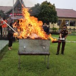 Polres Pasaman Barat musnahkan barang bukti 11 kilogram lebih ganja-1702367962