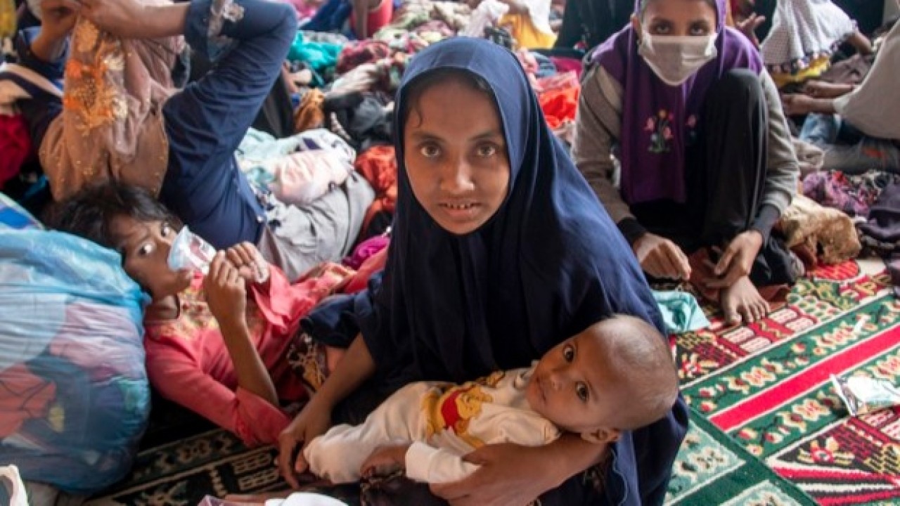 Pengungsi Rohingya. (Net)