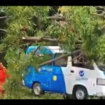 Angkot JakLinko tertimpa pohon tumbang saat melintas di Cakung-1706602115