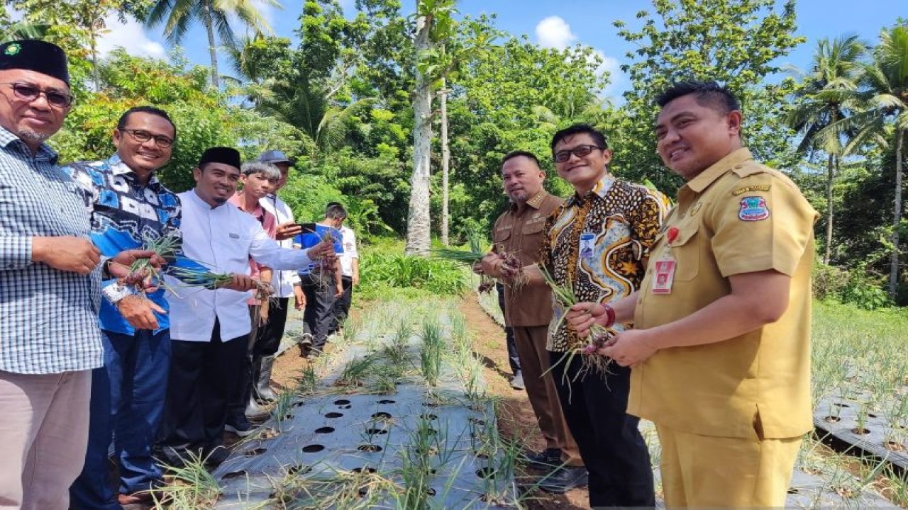 Kepala Kantor Perwakilan Bank Indonesia Provinsi Sulawesi Utara (KPw BI Sulut) Andry Prasmuko bersama Wakil Walikota Manado Richard Sualang dan jajaran pemerintah Manado, saat melakukan panen bawang merah, di Manado, Selasa (9/1/2024). ANTARA/Nancy L Tigauw.