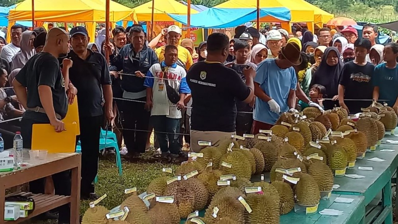 Sebanyak 40 orang petani mengikuti Festival Durian di Lapangan Desa Kebongembong, Kecamatan Pageruyung, Kabupaten Kendal, Jawa Tengah, pada Minggu (21/1/2024). (Istimewa/jatengprov.go.id)