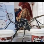 Ilustrasi - Telur nyamuk ber-Wolbachia. (ANTARA/HO-Dinkes Bandarlampung)-1704183166