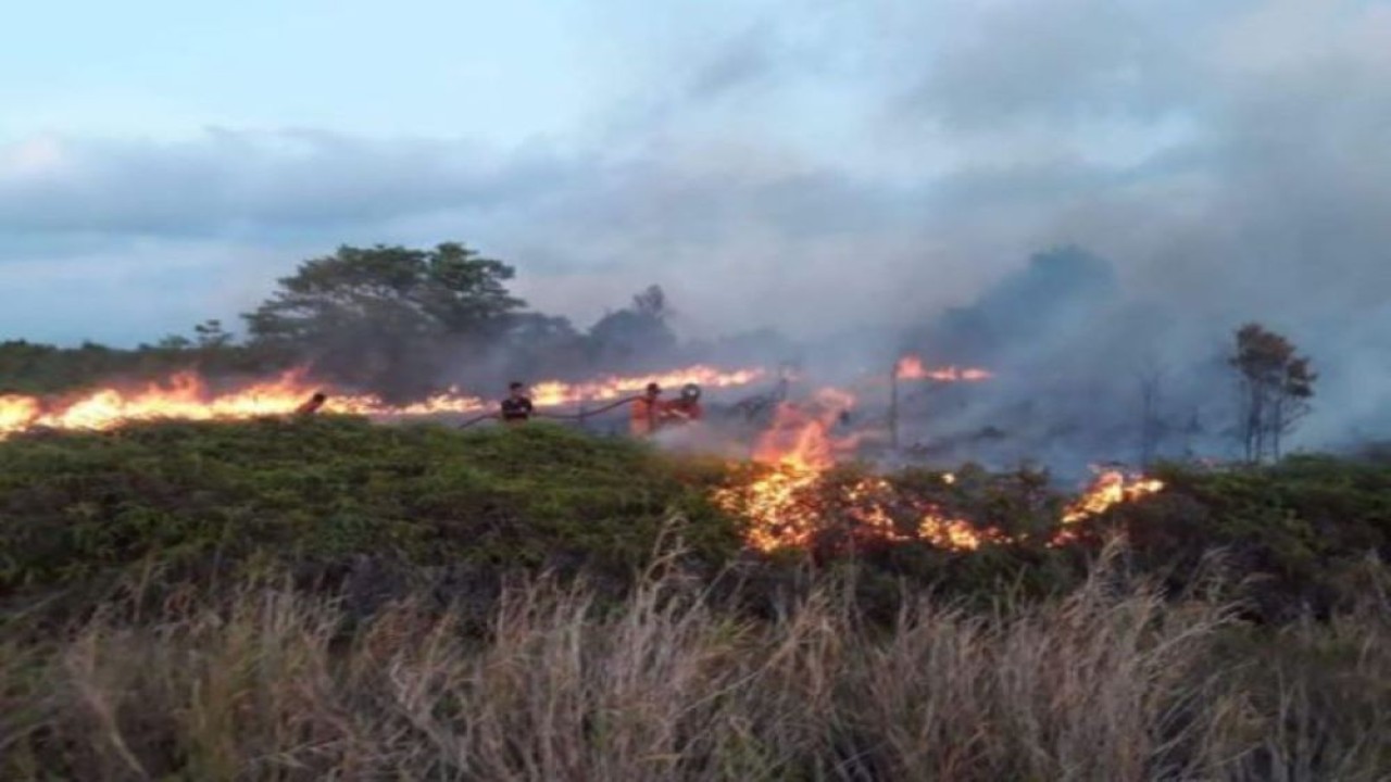 Arsip Foto - Petugas berusaha memadamkan kebakaran lahan di wilayah Kecamatan Bunguran Utara, Kabupaten Natuna, Provinsi Kepulauan Riau. (ANTARA/HO-Pemkab Natuna)
