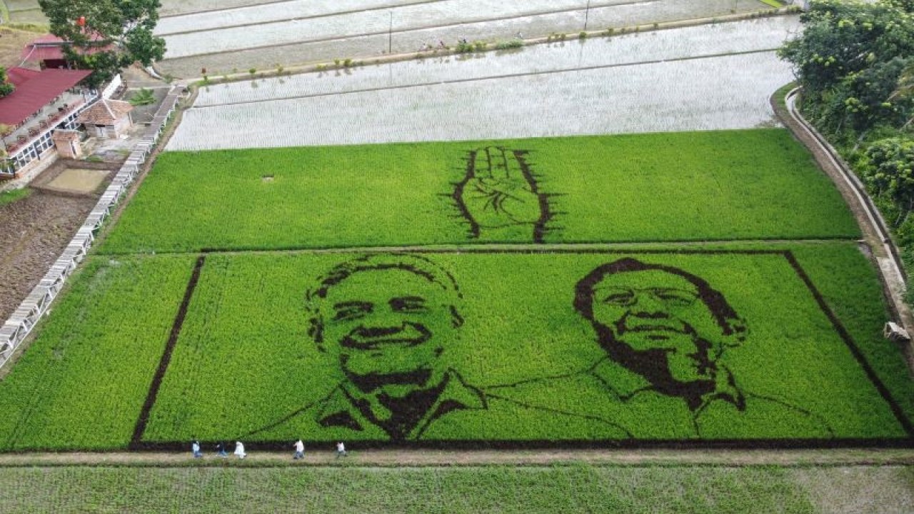 Foto udara warga berjalan di dekat petakan sawah bergambar wajah calon presiden dan calon wakil presiden nomor urut 3, Ganjar Pranowo dan Mahfud MD di Desa Sidorejo, Ungaran, Kabupaten Semarang, Jawa Tengah, Senin (29/1/2024). ANTARA FOTO/Makna Zaezar