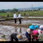 Menteri Pertanian sebut Presiden Jokowi menyayangi petani-1704266711