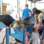 Pemkot Mataram usulkan Rp60 miliar untuk bangun TPST Ampenan-1704282753