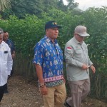 Pemprov PBD perkuat ketahanan pangan jawab kebutuhan masyarakat-1704183025