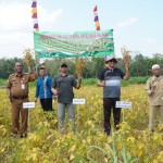 Petani di Gunungkidul. (ANTARA/HO-Dokumen Dinas Pertanian)-1706090885