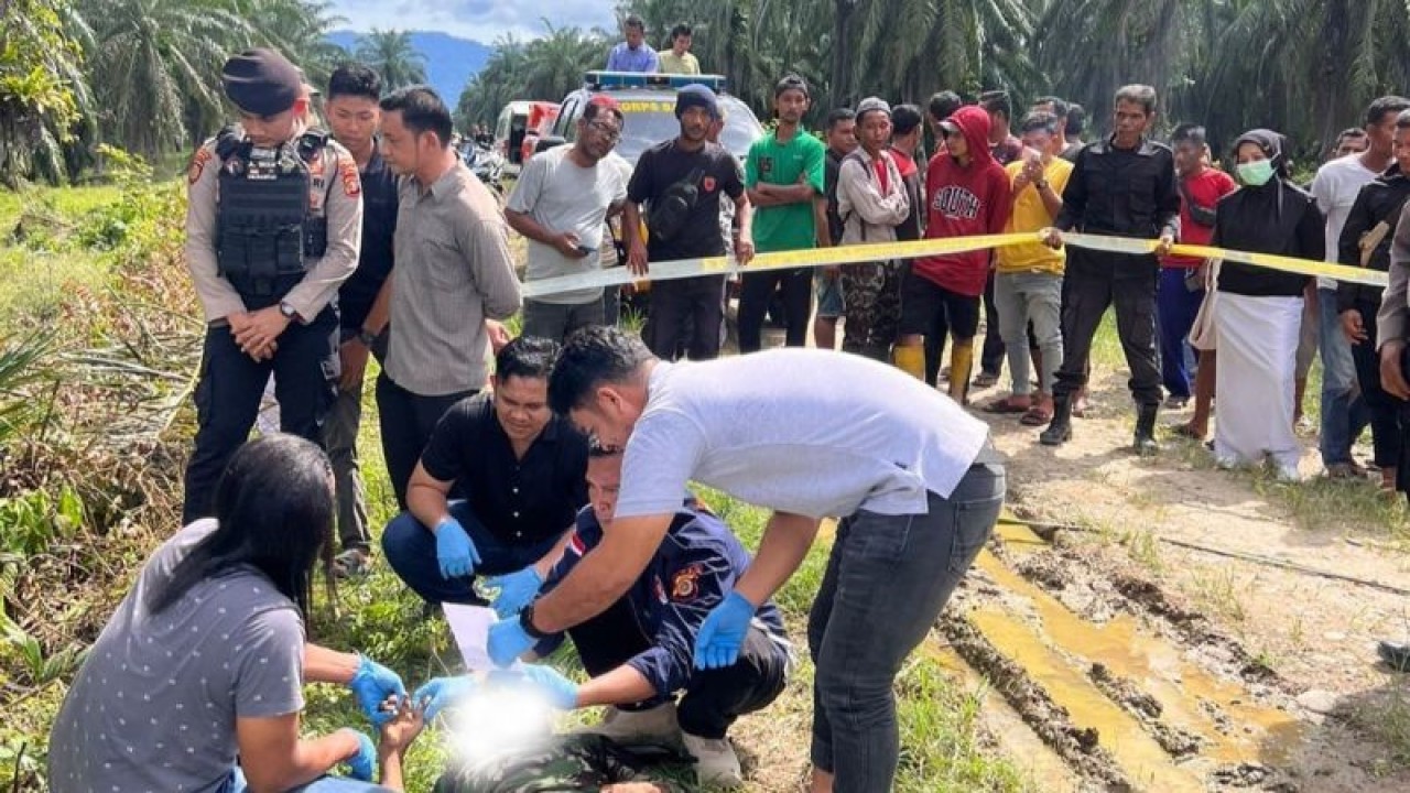 Polisi saat mengevakuasi mayat warga yang ditemukan di lahan kebun sawit milik PT CA di Kecamatan Babahrot, Kabupaten Aceh Barat Daya, Kamis (11/1/2024). (ANTARA/HO-Polres Abdya)