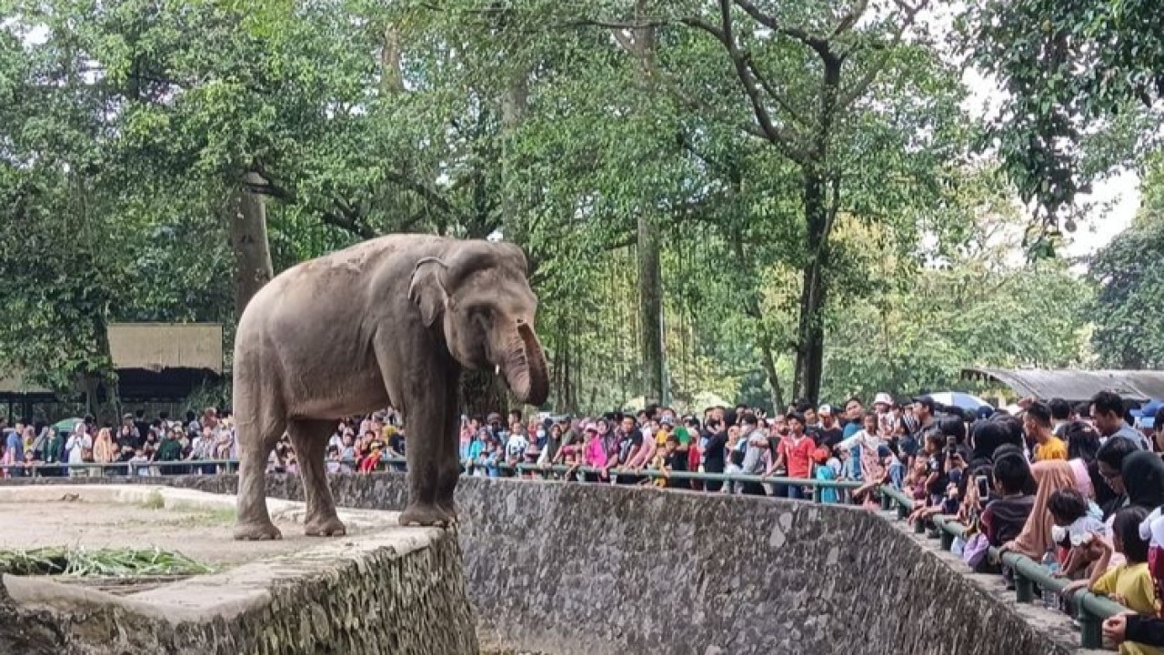 Taman Margasatwa Ragunan. (Kompas.com)