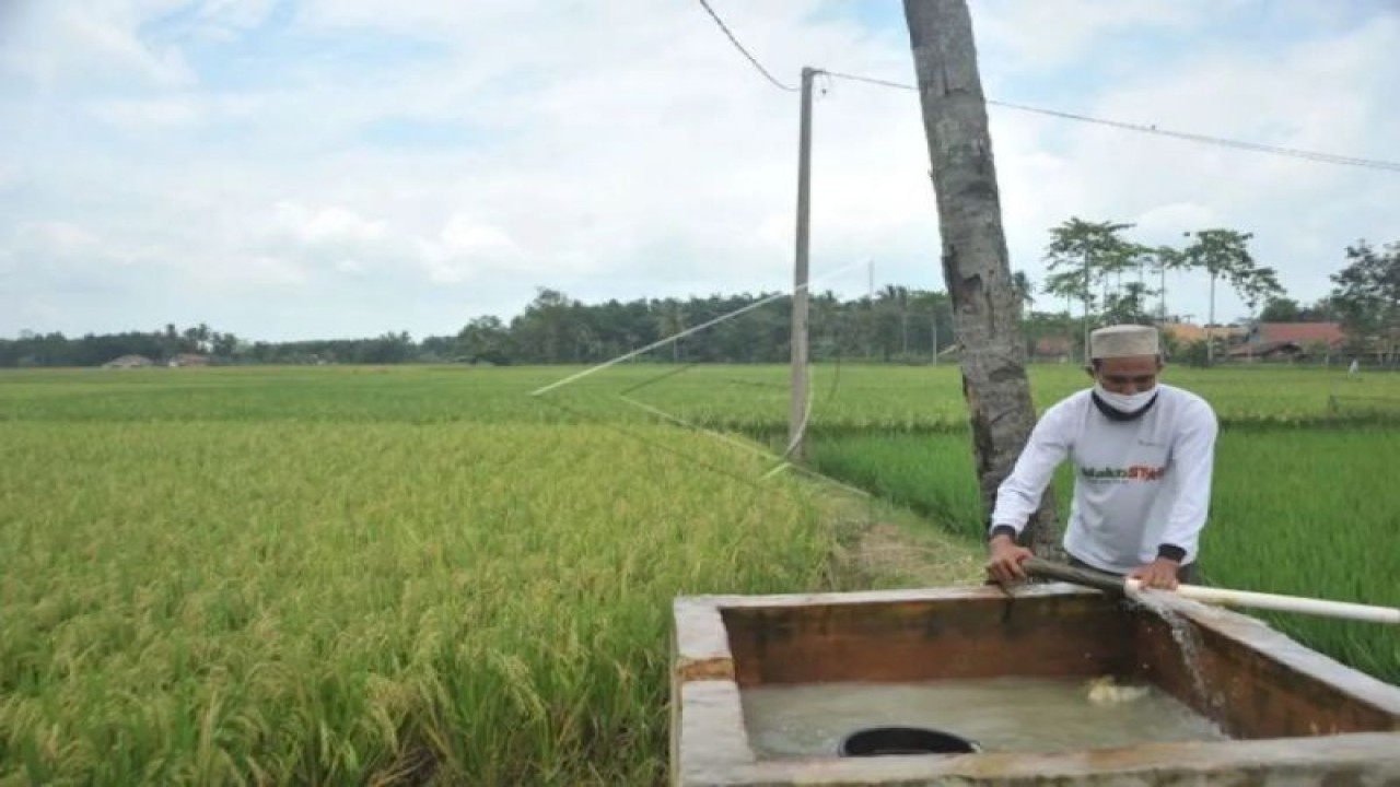 Petani Memperbaiki Arah Aliran Air Yang Didapat Dari Pompa Listrik Di