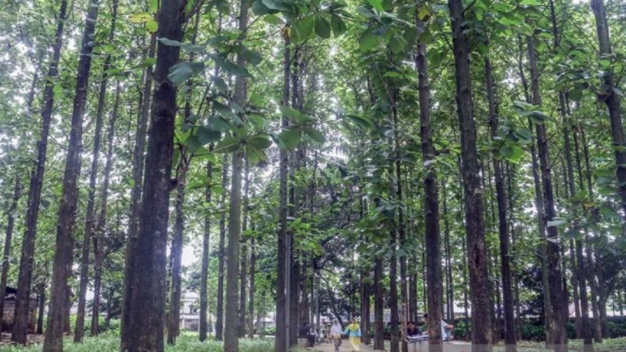 Sejumlah warga berwisata akhir pekan di Taman Hutan Kota Ranggon Wijaya Kusuma, Jakarta Timur, Sabtu (4/3/2023). (ANTARA FOTO/Yulius Satria Wijaya/foc/aa)