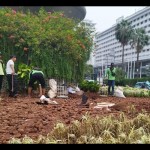 Tanaman rusak akibat malam tahun baru di DKI hanya 208 meter persegi-1704197500