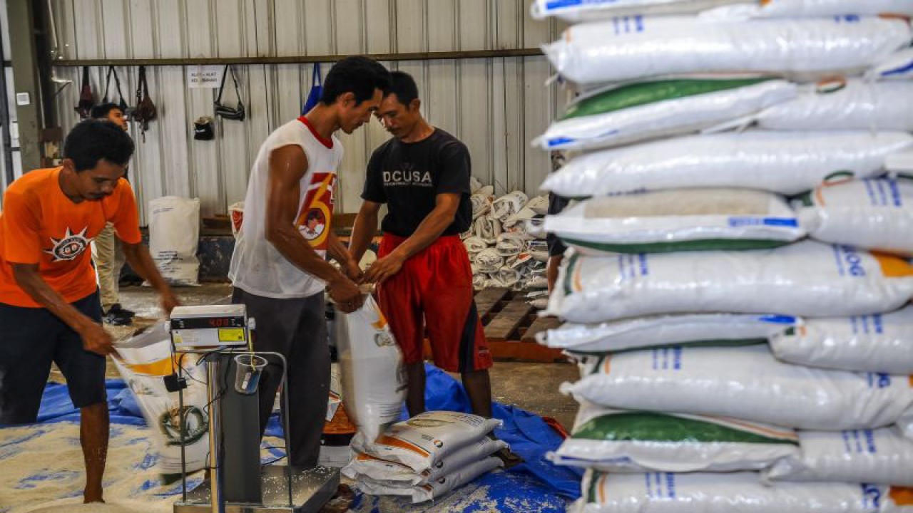 Pekerja mengemas beras di gudang beras Bulog Cabang Lebak-Pandeglang, Lebak, Banten, Selasa (9/1/2024). ANTARA FOTO/Muhammad Bagus Khoirunas/nym.