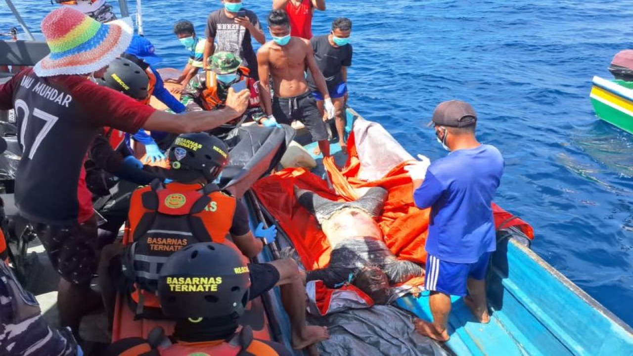 Seorang penumpang bernama Abdullah Hi. Talib (69 tahun) yang hilang saat terjatuh di sekitar perairan Tidore Kepulauan berhasil ditemukan pada 30 Januari 2024 pukul 09.10 WIT, Selasa (6/2/2024). ANTARA/Abdul Fatah (Abdul Fatah)