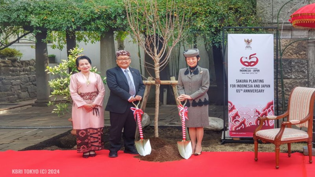 Dubes RI untuk Jepang Heri Akhmadi (kiri), yang didampingi istri Nuning Akhmadi, bersama Putri Takamado menanam pohon sakura di Wisma Duta Tokyo, Kamis (1/2/2024). ANTARA/HO-KBRI Tokyo