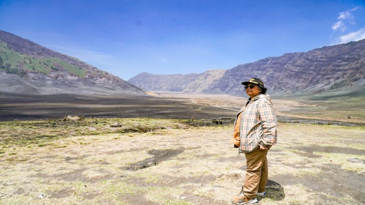 Menteri Lingkungan Hidup dan Kehutanan Siti Nurbaya Bakar memeriksa dampak kebakaran hutan dan lahan yang terjadi di kawasan Gunung Bromo, Provinsi Jawa Timur, Sabtu (23/9/2023). (ANTARA/HO-Kementerian LHK)