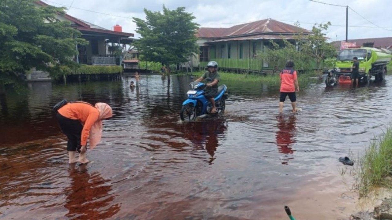 Personel BPBD Kota Palangka Raya melakukan pemantauan di salah satu permukiman warga yang bagian jalannya terendam banjir  - Antara.