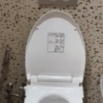 toilet-1713152743