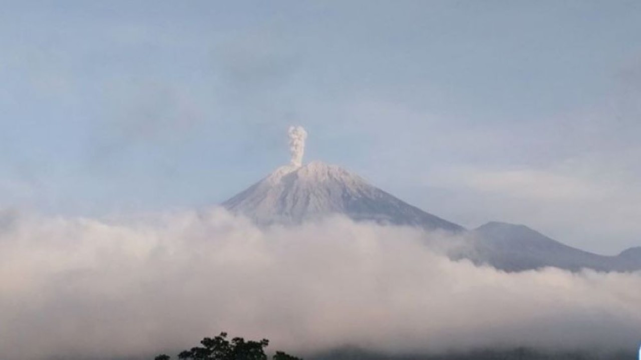 Gunung Semeru erupsi dengan letusan abu vulkanik setinggi 800 meter di atas puncak pada Senin (20/5/2024) pukul pukul 06.11 WIB. (Foto: ANTARA/HO-PVMBG)