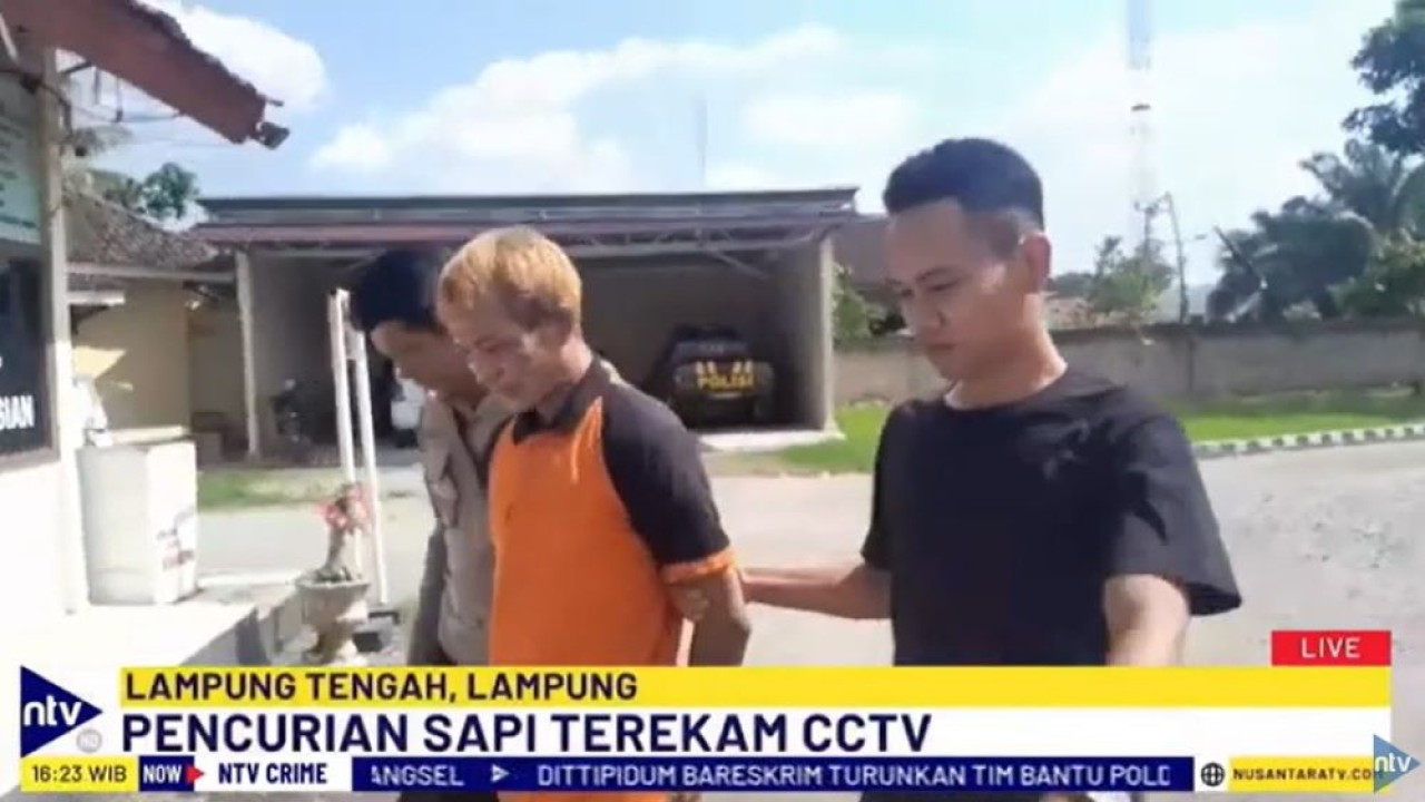 Pelaku pencurian hewan kurban di Lampung Tengah berhasil diringkus polisi berkat CCTV.