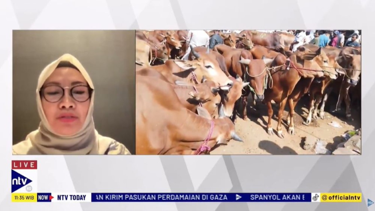 Direktur Kesehatan Hewan Kementerian Pertanian (Kementan) Nuryani Zainuddin saat menjadi narasumber dalam program NTV Today di Nusantara TV, Jumat (7/6/2024).