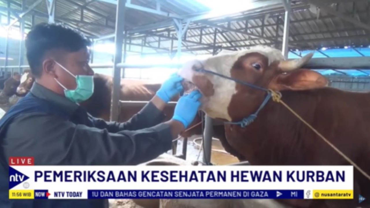 Petugas dari Dinas Pertanian dan Peternakan Kabupaten Bandung memeriksa kesehatan hewan kurban yang dijual di lapak-lapak/tangkapan layar NTV