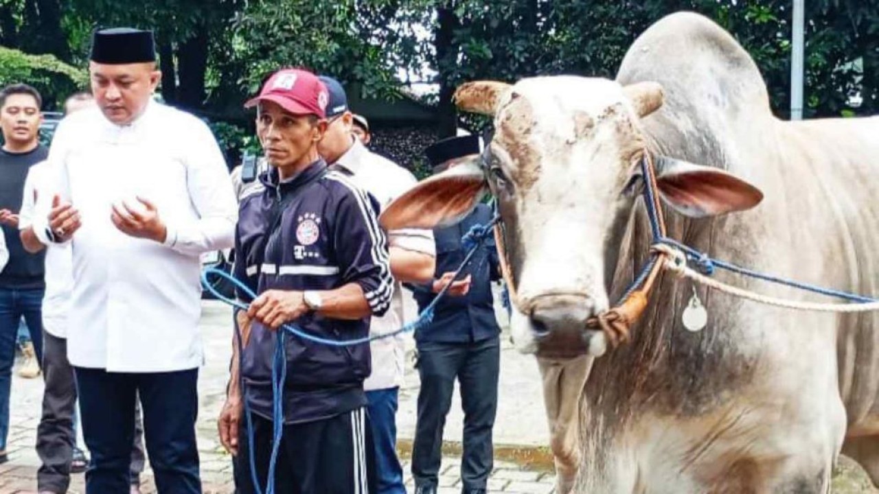 Ketua DPRD Kabupaten Bogor, Rudy Susmanto menyerahkan 48 sapi kurban dari Prabowo Subianto untuk masyarakat Kecamatan Babakanmadang, Kabupaten Bogor, Jawa Barat/ist